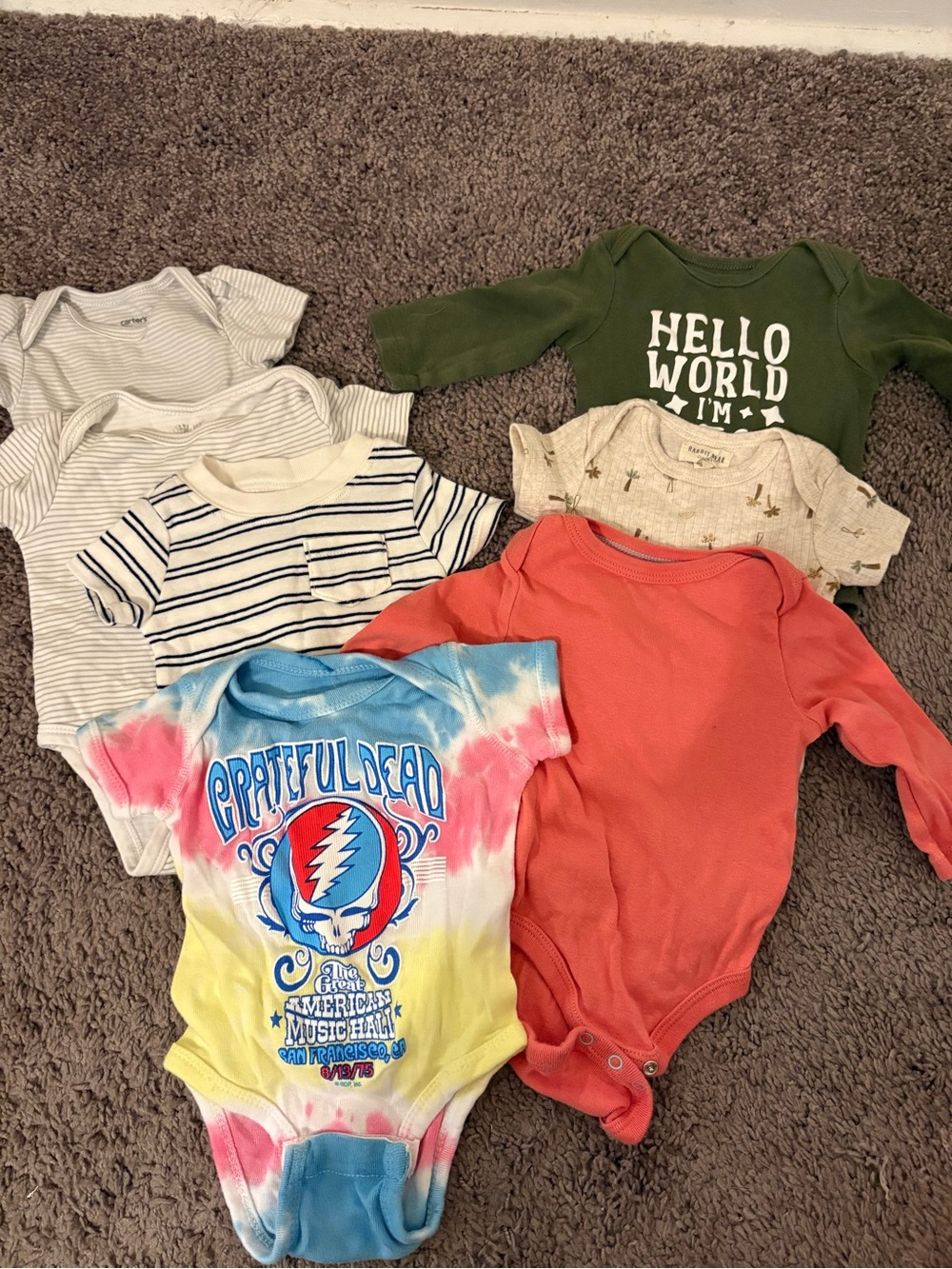 Baby Bodysuit - Multi